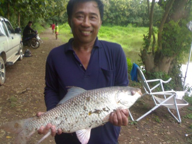 ยี่สกใหญ่ที่หนองระหาร อุตรดิตถ์