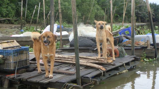 ตกม้าที่บางปะกงbyไต๋เปรี้ยว