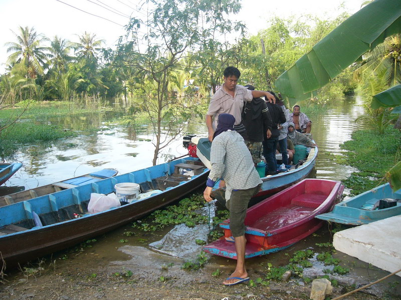 ไม่หวั่นถึงน้ำจะมามาก@บางไทร