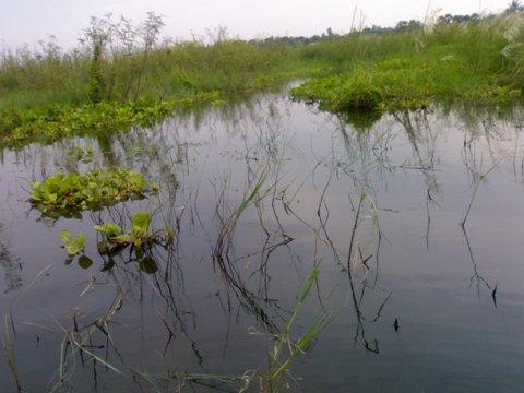 ไปลองเรือที่หนองค้อตีชะโด