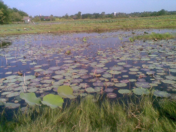นานๆไปที ก้อดีนะ(โคราช)