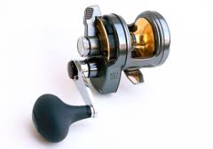  SHIMANO TYRNOS 8.. VS .. AVET MXJ