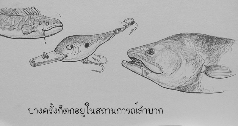 วาดอะไรเล่นๆในช่วงรอน้ำลดครับ