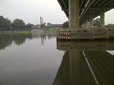 กระสูบ แม่น้ำแม่กลอง ราชบุรี