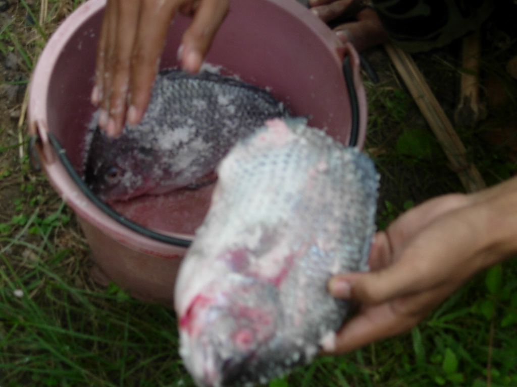 ข้างทาง ศรีวิชัย วานรนิวาส สกลนคร