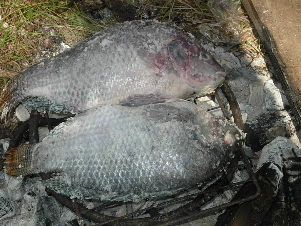 ข้างทาง ศรีวิชัย วานรนิวาส สกลนคร
