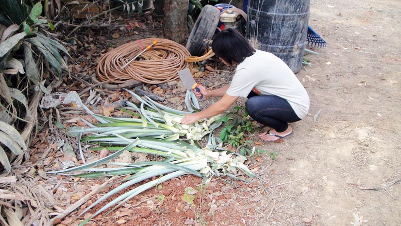 แกงหน่อสัปรด