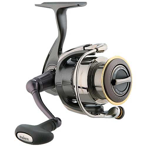 Daiwa Steez Vs Shimano Stella 