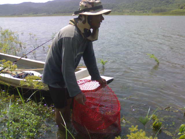 กระสูบเขื่อนปราณบุรีครับ