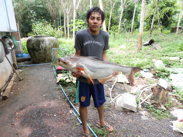 ธรรมชาติเน้นๆครับ