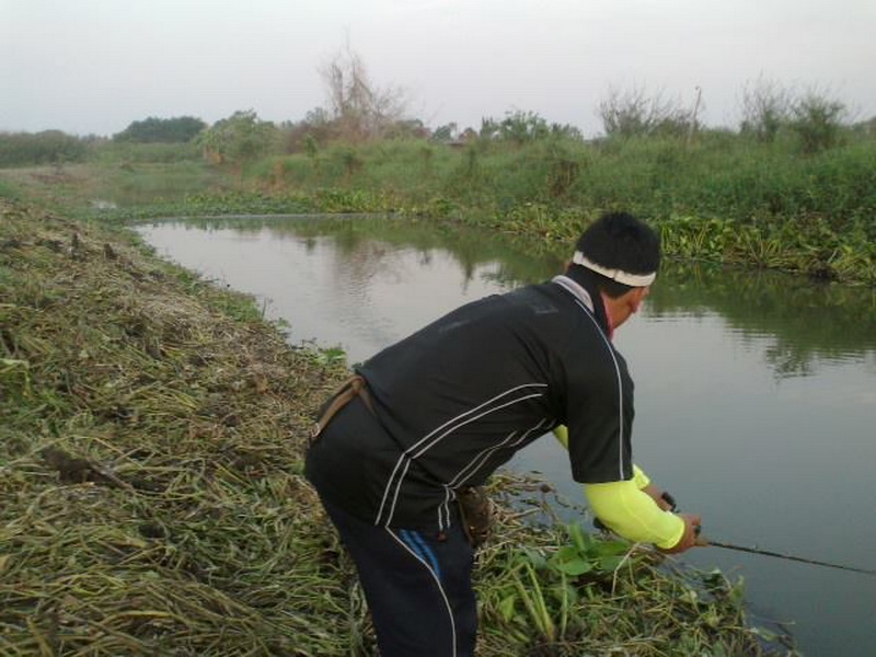 คัดไซด์ ที่ชายคลอง ก่อนตะวันตกดิน