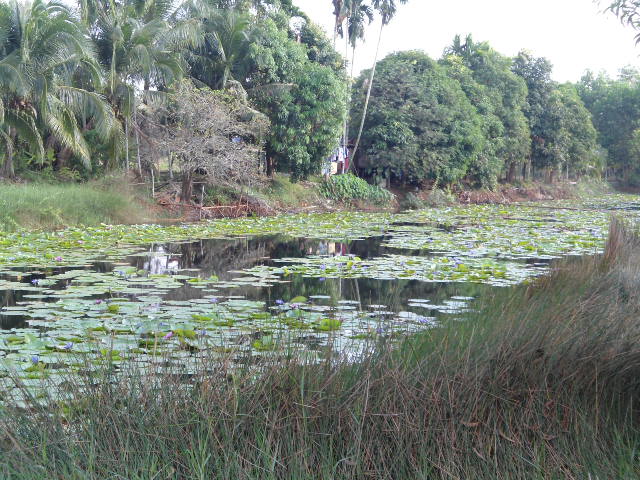 หมายเมืองจันทบุรีครับสวยไม่สวยช่วยติชมด้วยครับ