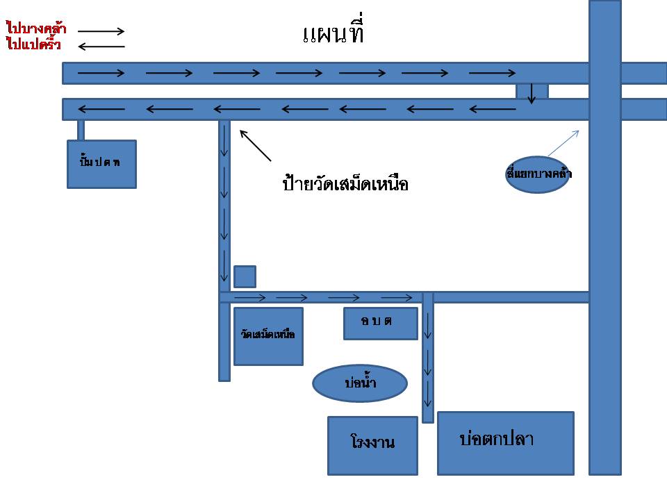 เปิดบ่อให้ตกปลา(หมายธรรมชาติ)บางคล้า จ.ฉะเฉิงเทรา