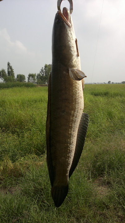 ทริปนี้ที่กบินบุรี-ปราจีนบุรี