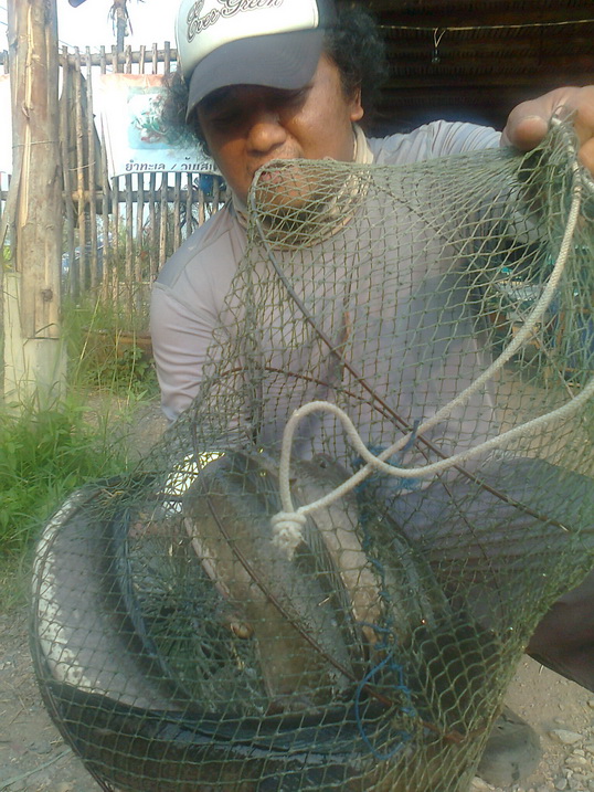 บ่อตกปลาชวนชม