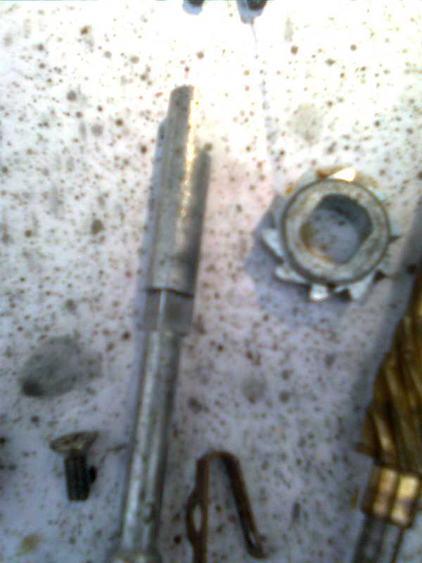 จับน้องเกาหลี มาอาบน้ำ  Daiwa Regal-s 5000T 