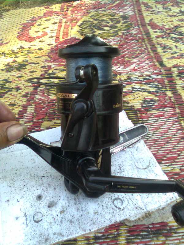 จับน้องเกาหลี มาอาบน้ำ  Daiwa Regal-s 5000T 
