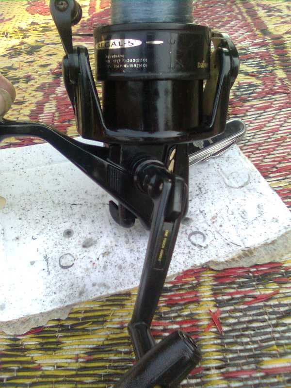 จับน้องเกาหลี มาอาบน้ำ  Daiwa Regal-s 5000T 