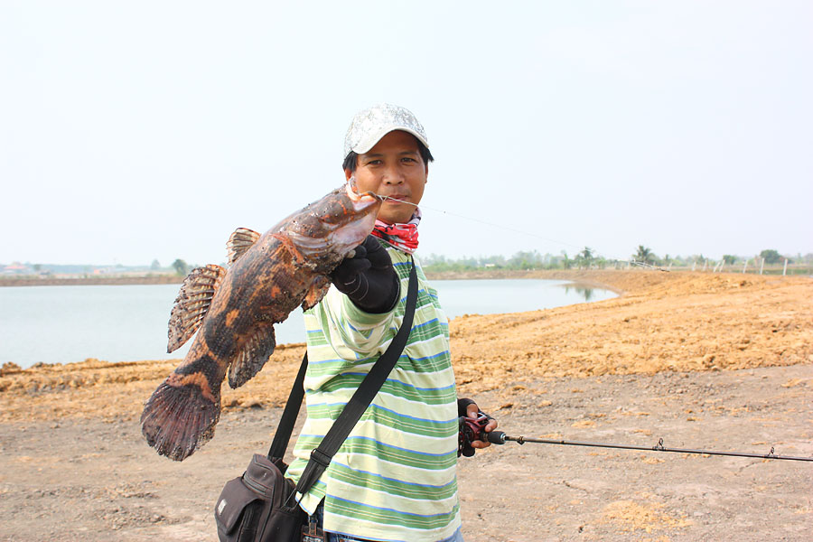 วันที่ 11 เปลี่ยนทริพเล็กดีกว่า