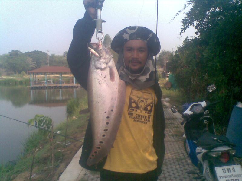 rapala ที่อยุธยา