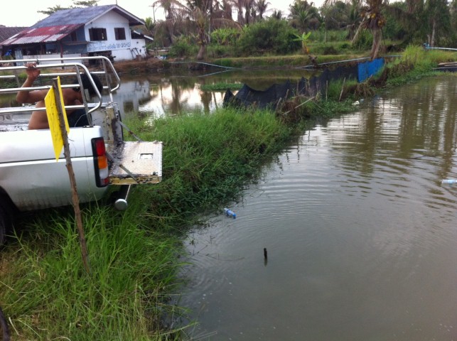 (ลงปลาแล้ว) แข่งปลาช่อน THAILAND TEXAS PARTY 2012