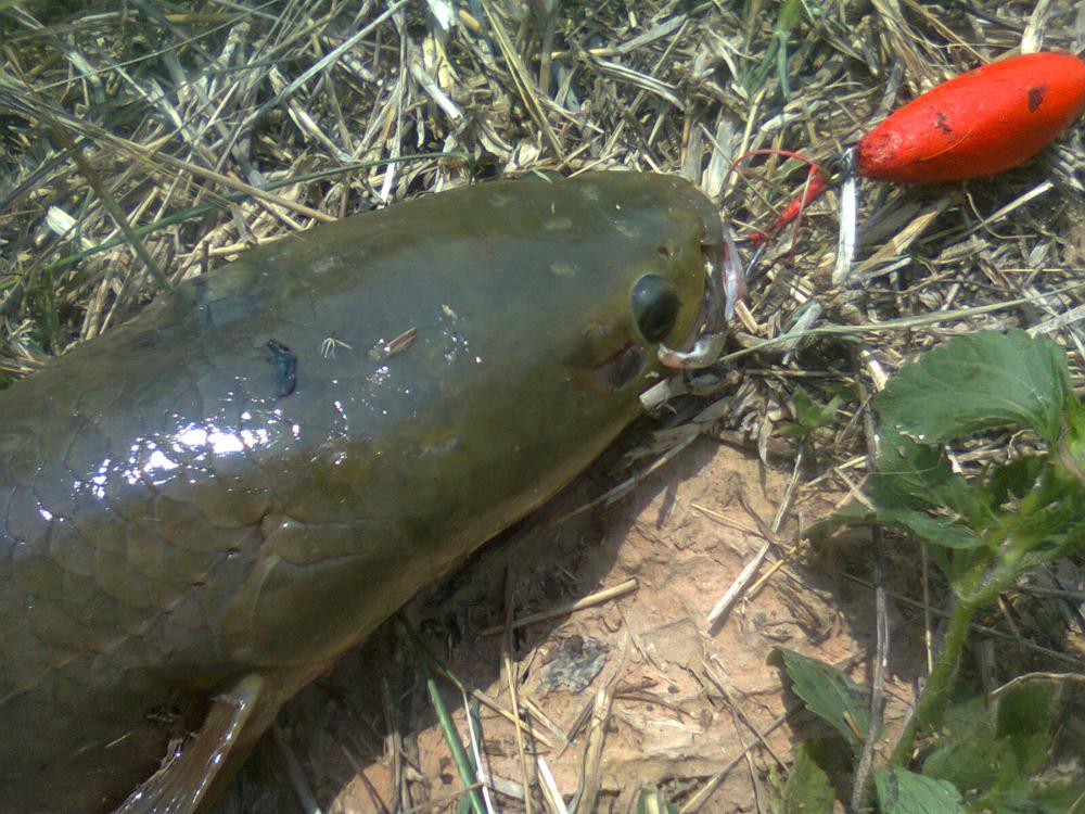 ทริป บ.หนองโน และวาปี