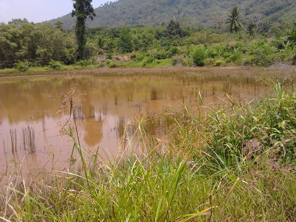 หมายลับ..ใว้รับแขก..ที่ระนอง..