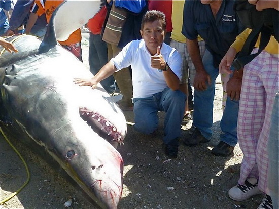 ผงะชาวประมงเม็กซิโกจับฉลามขาวยักษ์หนักเกือบตัน!!