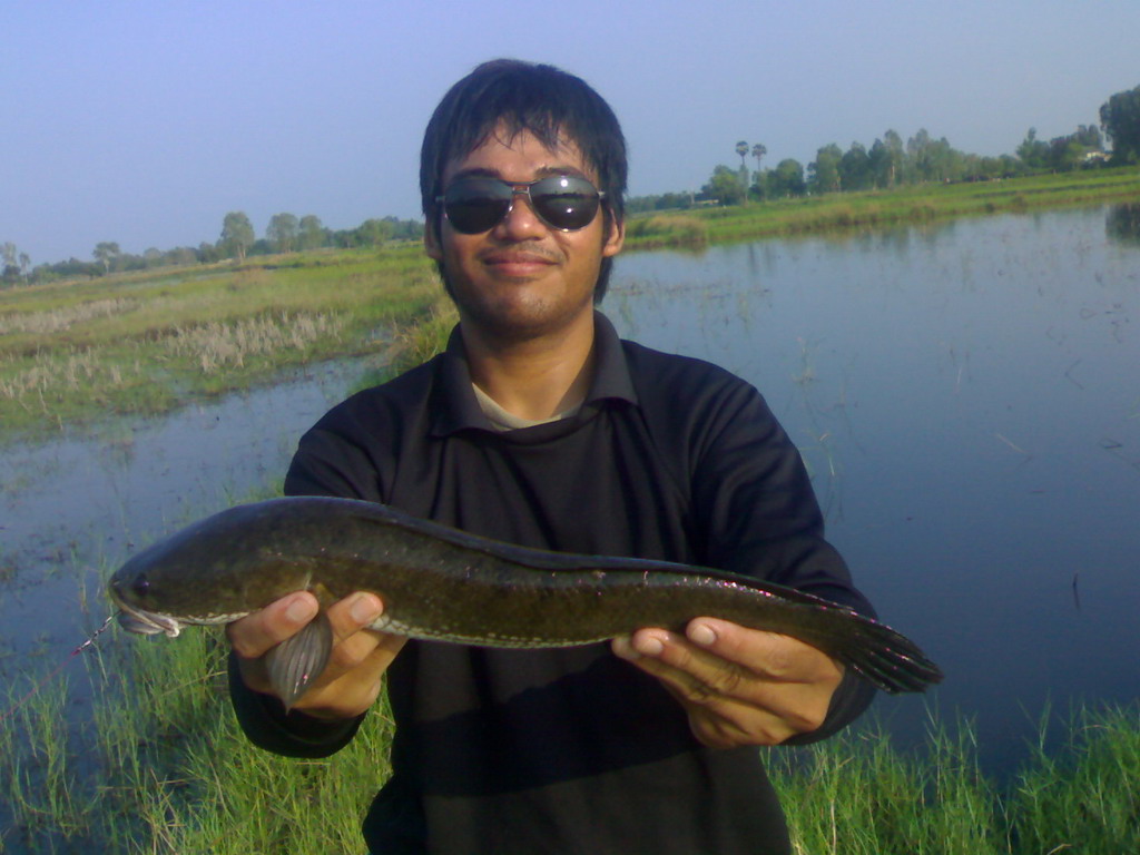 ช่อนนา จาก Buffalo fishing Team