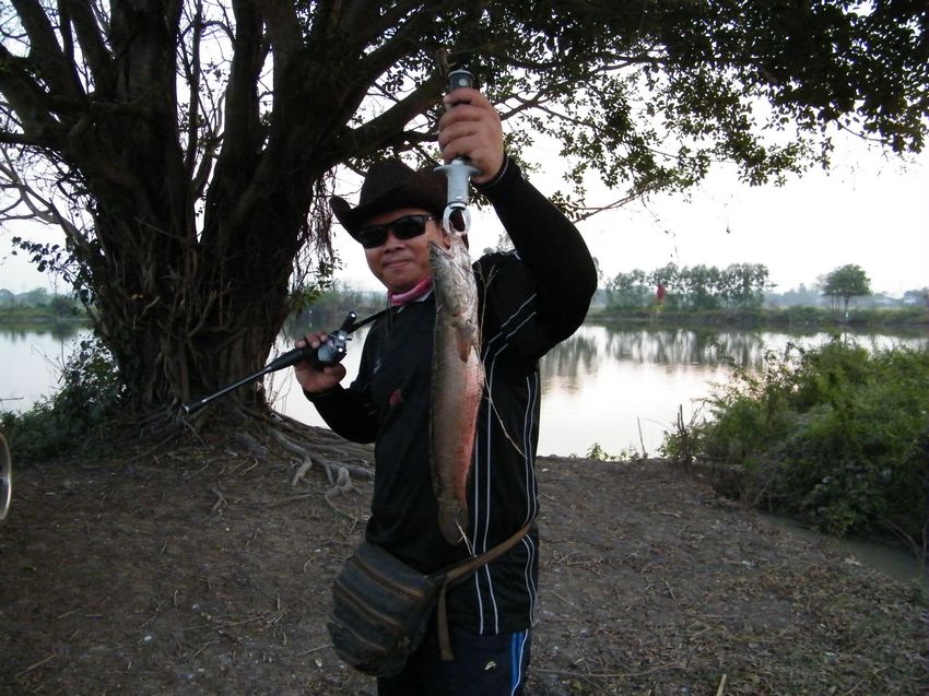 เพื่อชีวิตติดล้อ fishing on the road