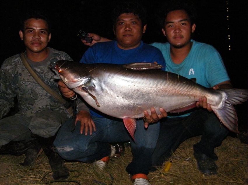 เพื่อชีวิตติดล้อ fishing on the road