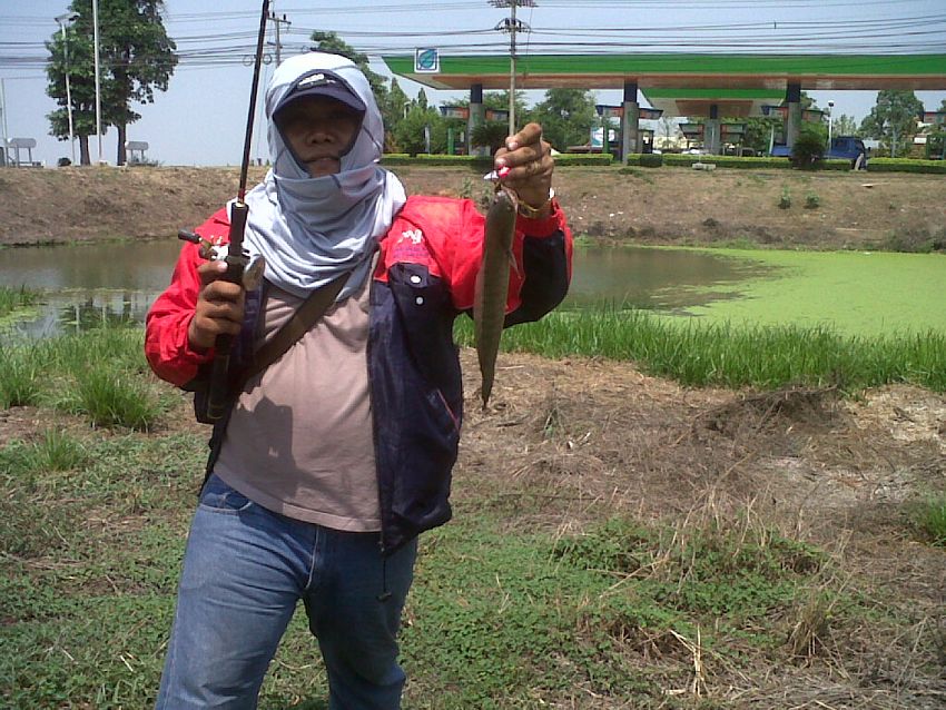 เพื่อชีวิตติดล้อ fishing on the road