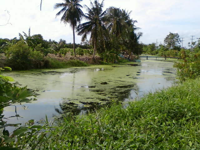 ทดสอบหมายคลองบ้านแพ้ว แข้ขัด