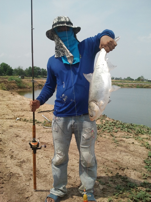 Small กรึบ Fishing Team บ่อดิน ***ภาค 4 ***