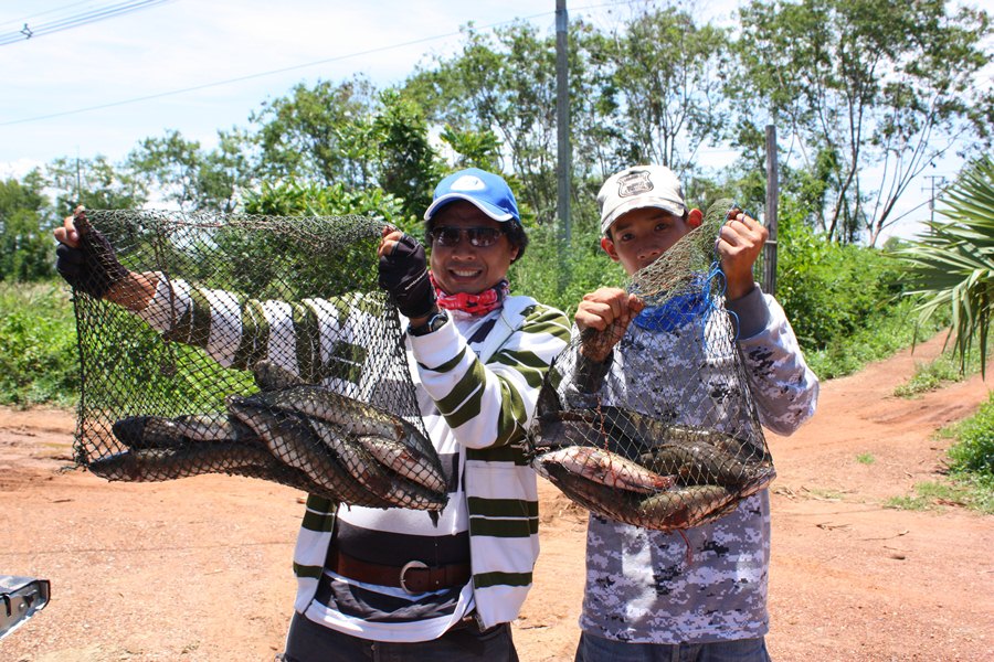 ปลาช่อนซ้ำปิดรับ