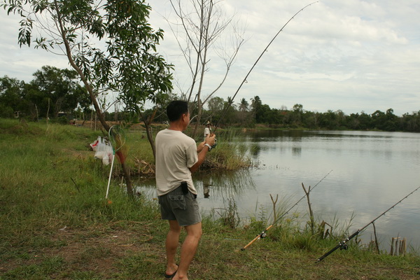 ชะโดไทรน้อย