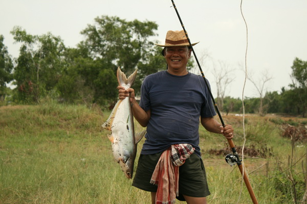 ชะโดไทรน้อย