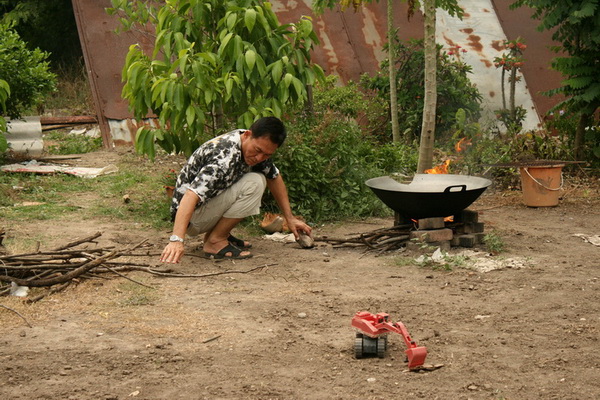 ชะโดไทรน้อย