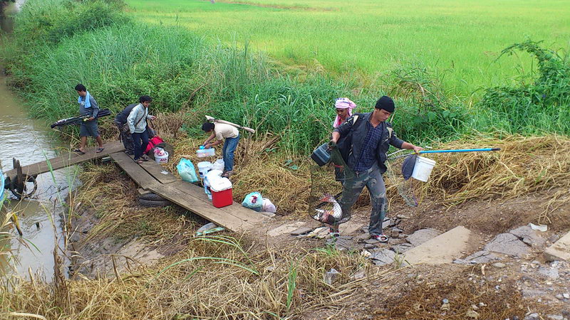 บางไทร หลังผักตบจากไป