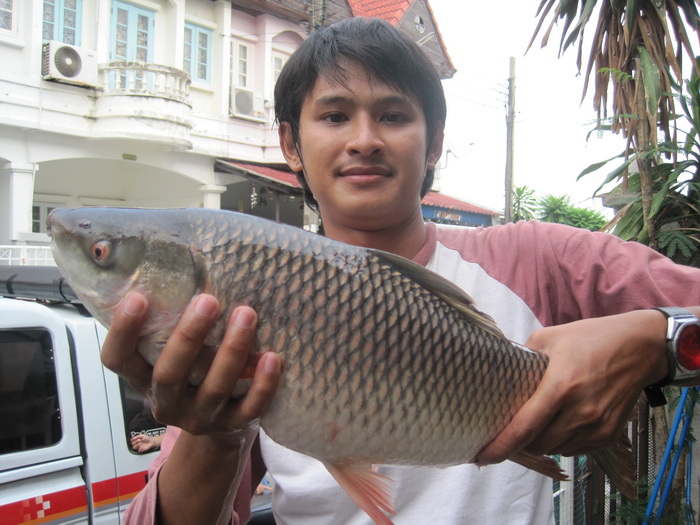ยี่สกครับ..ตกไว้นานแล้วเพิ่งจะนึกออก