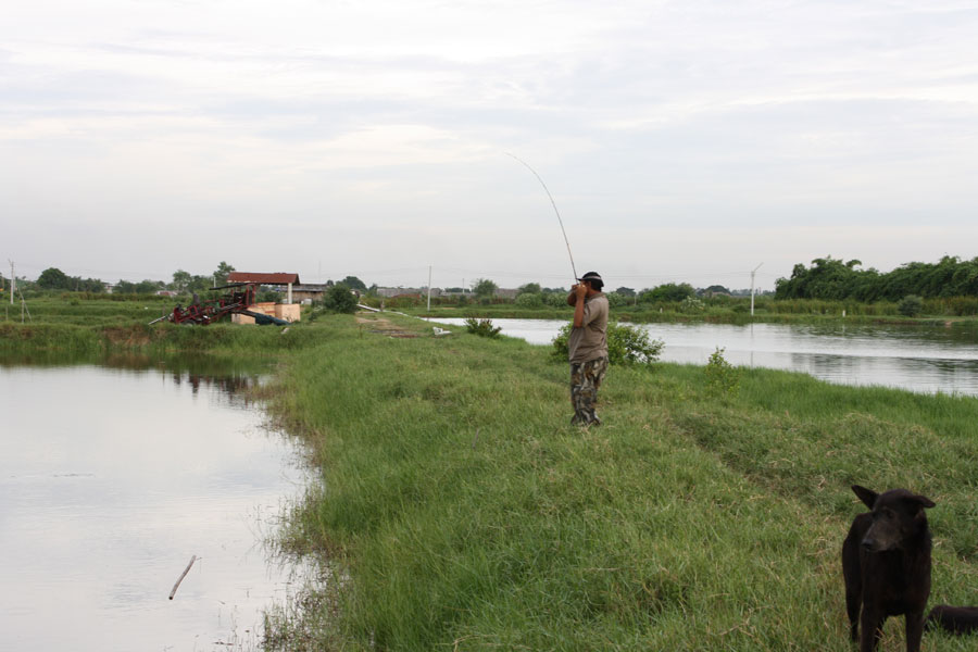 กะพงพานทองขอเลื่อนทริป