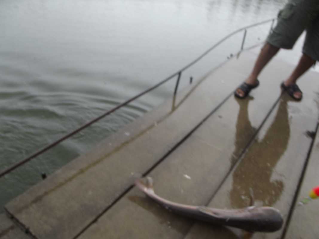  Fishing in the rain @ Cha-am Fishing Park