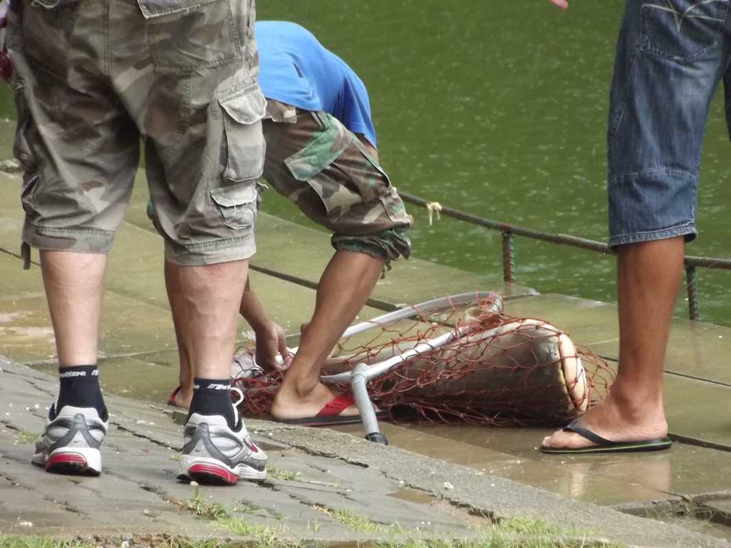  Fishing in the rain @ Cha-am Fishing Park