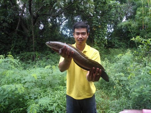 ช่อนใหญ่ หมายลับ ที่ชัยนาท