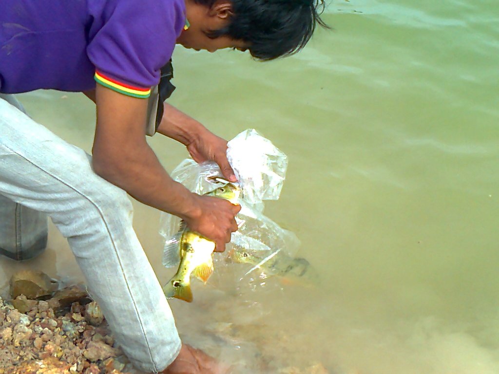 Peacock bass แถวบ้านผมเอง (ระยอง)