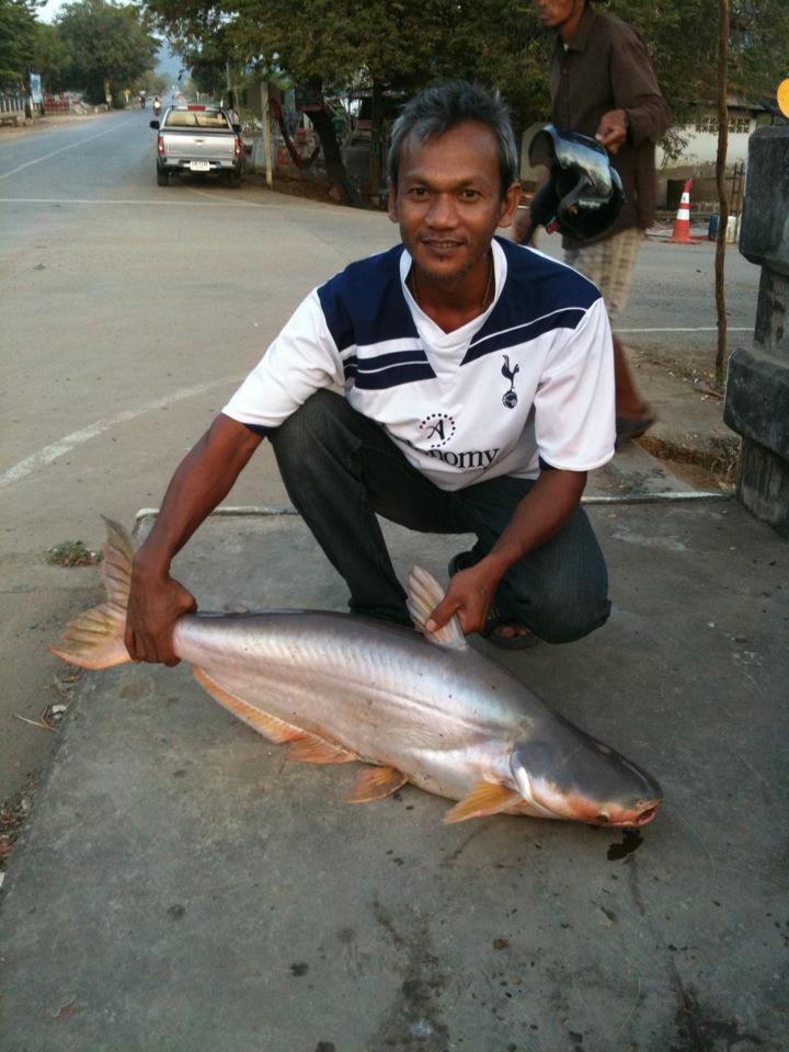 สมาชิกใหม่ทดลองส่งครับ รวมๆ ตามกาลเวลาที่ผ่านมา