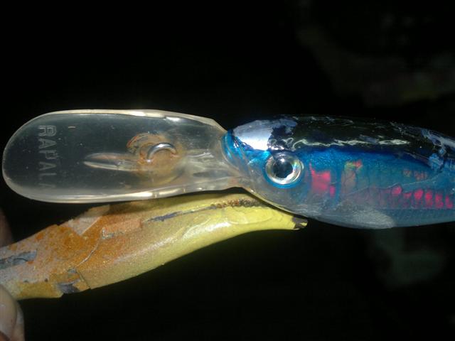 มือใหม่โคราช(เหยื่อเก่าๆทำสีใหม่ครับ)rapala