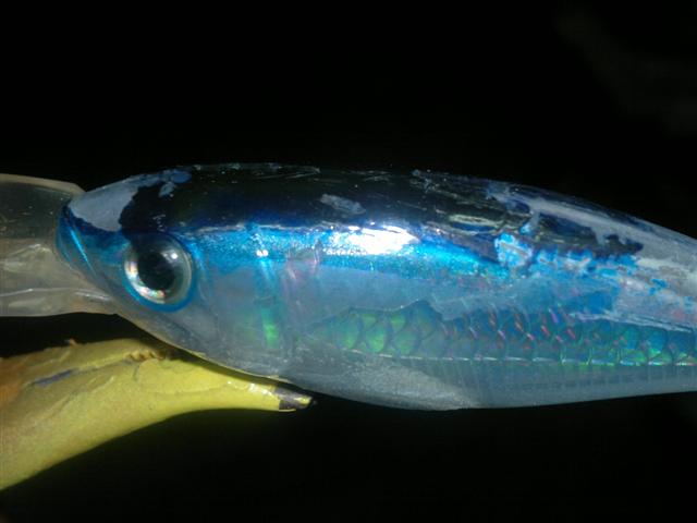 มือใหม่โคราช(เหยื่อเก่าๆทำสีใหม่ครับ)rapala