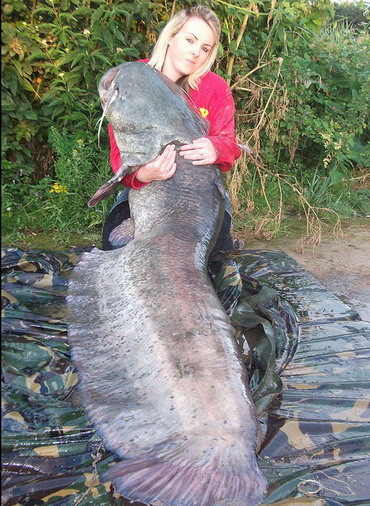 ตะลึง!! หญิงสาวอังกฤษตกได้ปลาดุกยักษ์ ยาวกว่า 2 เมตร