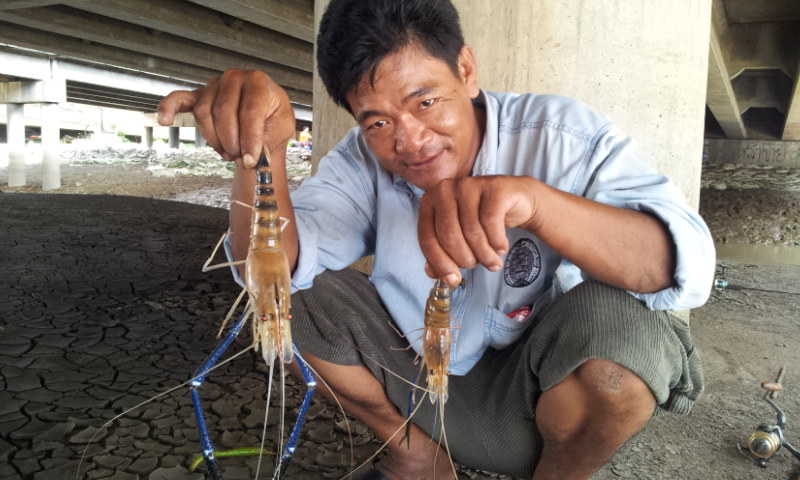 เงียบจังที่บางปะกง